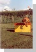 bild03.jpg  (65,7 Kb)