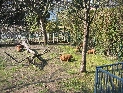 Klicken, um das Bild zu vergr��ern