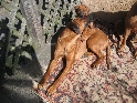 Bad in der Sonne mit Halbschwester Felice